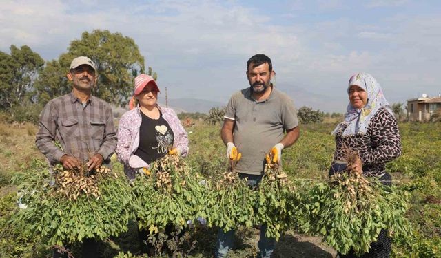 Ali Fakıoğlu: "Günde 1000 TL’ye işçi bulamıyoruz"