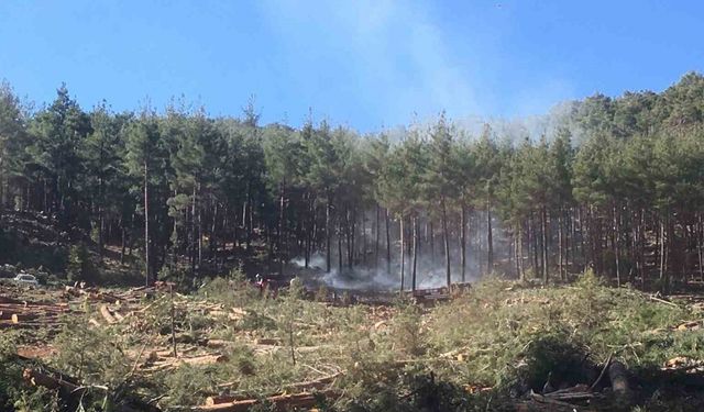 Burdur’da kesim sahasındaki orman yangınında 3 dönümlük alan yandı