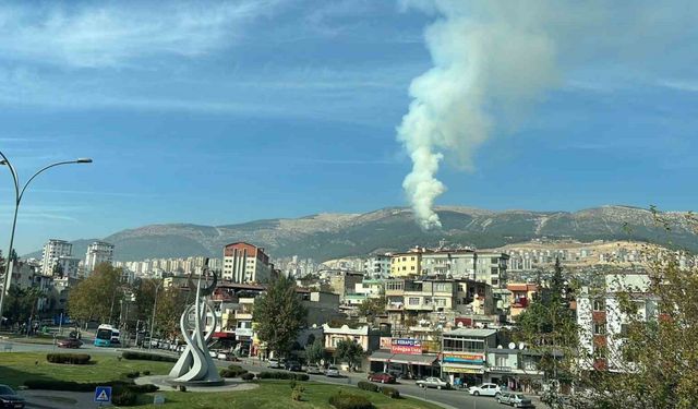 Kahramanmaraş’ta orman yangını