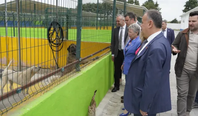 CHP'li Yontar'dan Çorlu'da 'Hayvan Bakım Evi'ne ziyaret