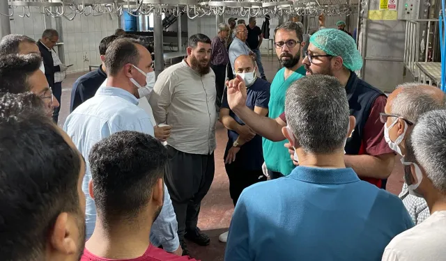 Malatya'da sertifikalı kurban kesim elemanı eğitimi
