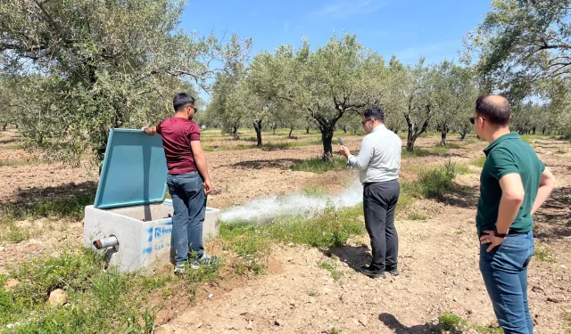 Manisa'da 2 bin 500 dekar arazi Öveçli ile suya kavuşacak