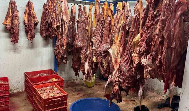 Adana’da 3 ton bozulmuş at eti ele geçirildi