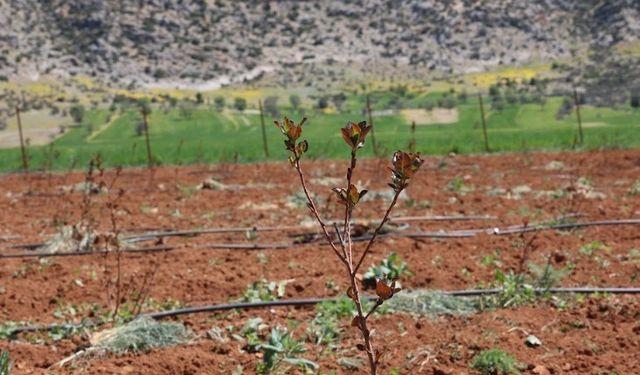 Antalya’da tarımsal sulama projeleriyle tersine göç hızlandı