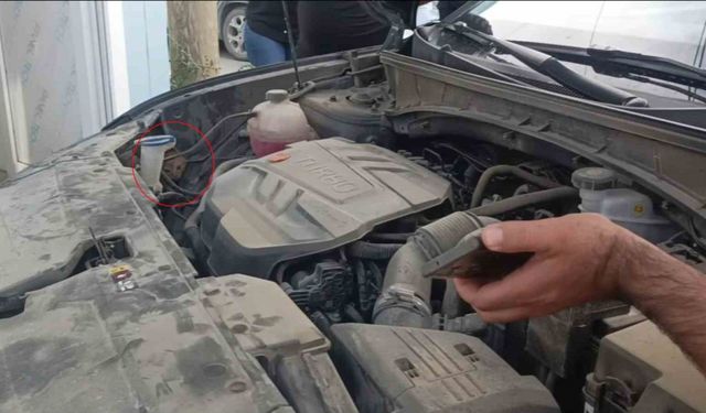 Aracın motoruna giren yavru kedi telefondan miyavlama sesi açılarak çıkartıldı