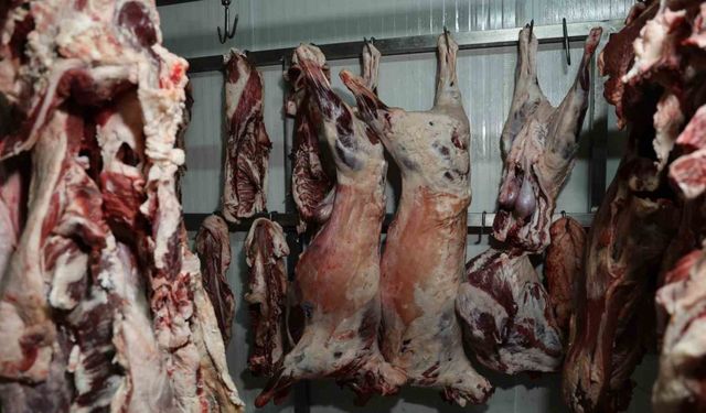 At ve eşek eti haberleri Adanalıları rahatsız etti