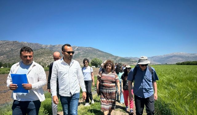 Cezaevlerinde AB projesi kapsamında organik tarım eğitimi