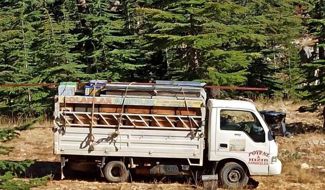 Gazipaşa’da arıcıların yayla mesaisi başlıyor