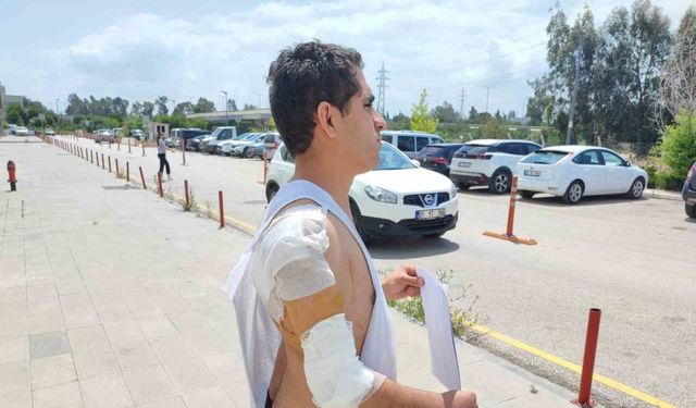 Hastaneye giderken kurt köpeğinin saldırısıyla yaralandı
