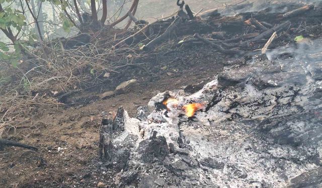 Orman yangını sürüyor: Ekipler 5 helikopter ve 110 personelle müdahale ediyor
