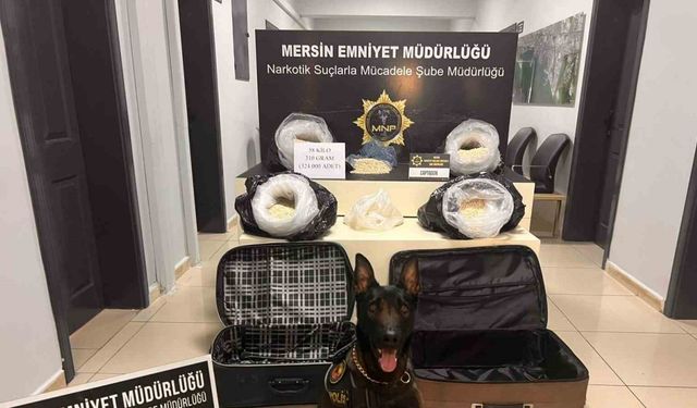 Polis tam 58 kilo 310 gram uyuşturucu hap ele geçirdi: 4 gözaltı