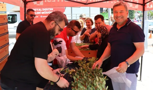 İzmit'ten vatandaşa ücretsiz fide desteği