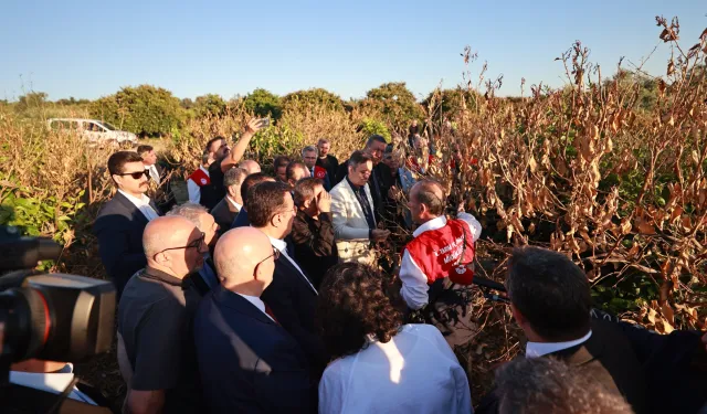 Mersin'de narenciye bahçelerine 'zirai don' incelemesi