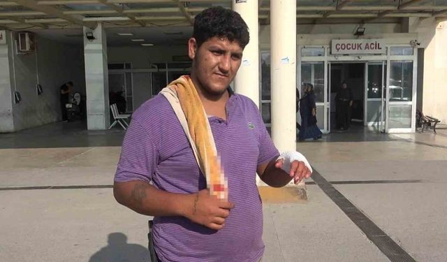 Adana’da acemi kasaplar hastanelere başvurdu