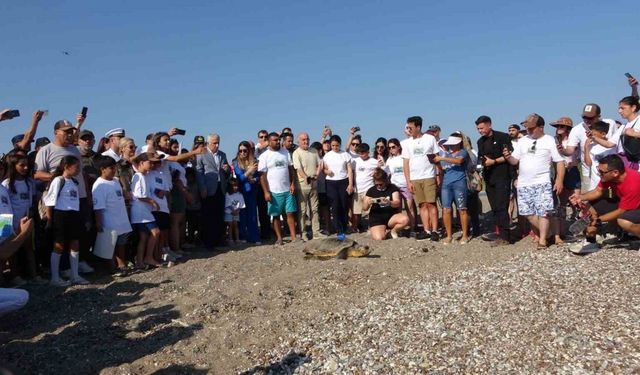 Antalya’da deniz kaplumbağaları çip takılarak denize uğurlandı