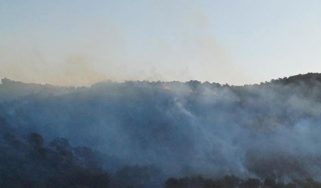 Hatay’da çıkan orman yangını kontrol altına alındı