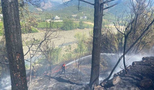Hatay’daki orman yangını söndürüldü