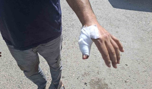 Kahramanmaraş’ta acemi kasaplar hastaneye koştu
