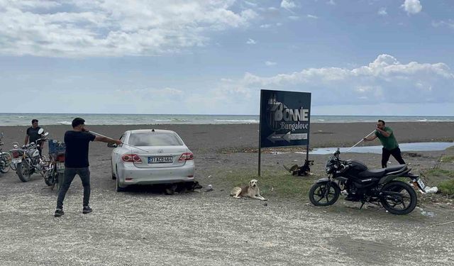 Kuduz karantinasındaki 4 mahallede başıboş köpekler toplanmaya başladı