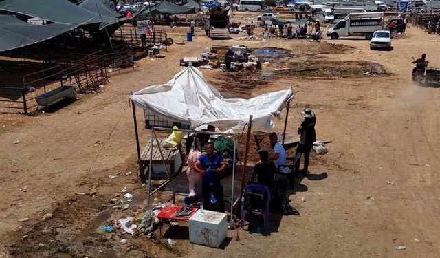 Kurbanlık fiyatları yüzde 40 düştü
