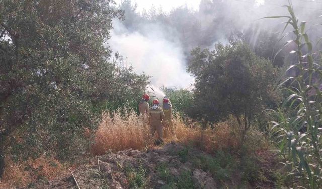 Mersin’de tarım arazisinde çıkan yangın korkuttu