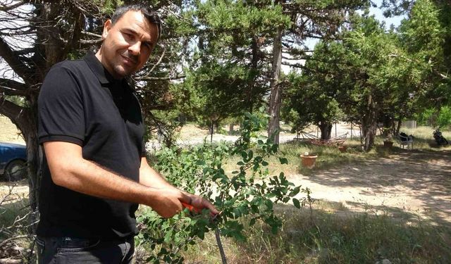 Ölmeden ölüm ilanı verildi, duyunca şok oldu