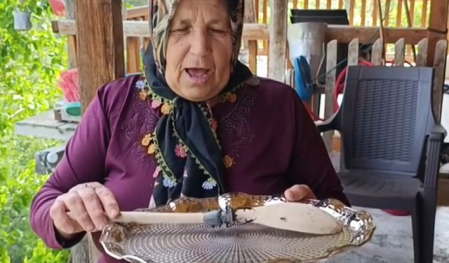 Parmak büyüklüğünde geyik göceği görüldü: Cezası 557 bin TL