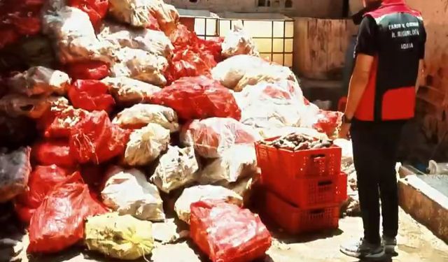 Adana’da binlerce kilo paça ele geçirildi