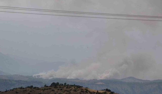 Kahramanmaraş’ta orman yangını