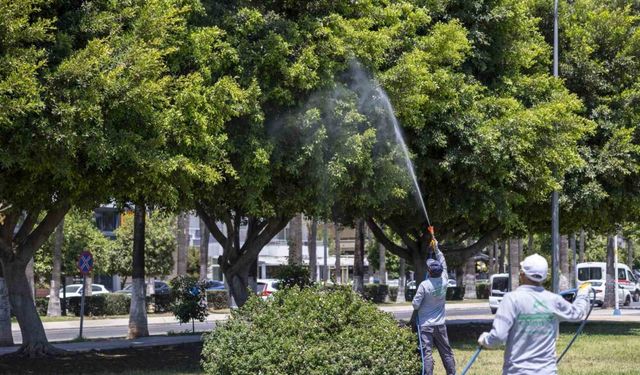 Mersin’de yaz boyunca kesintisiz ilaçlama