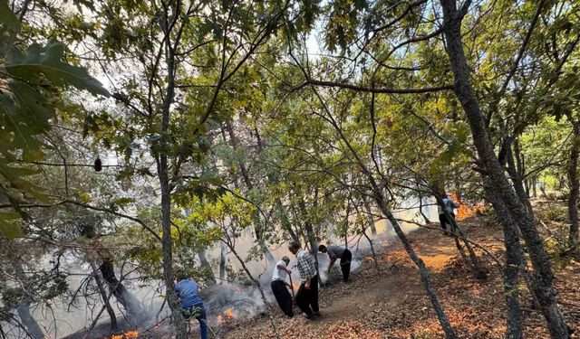 Adana Feke’de orman yangını ekipler havadan ve karadan müdahale ediyor