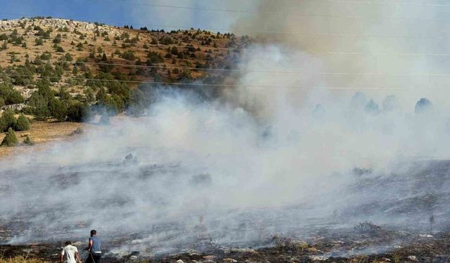 Adana Tufanbeyli’de orman yangını