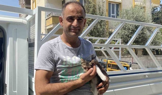 Ağaçta mahsur kalan yavru kedi vatandaşın dikkatiyle kurtarıldı