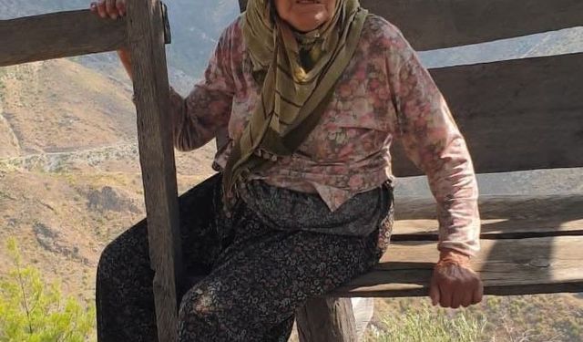 Alzheimer hastası 80 yaşındaki kadından 2 gündür haber alınamıyor
