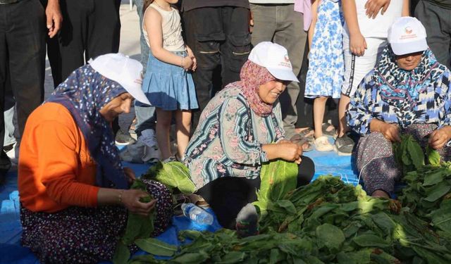 Ellerindeki iğnelerle ödülü alabilmek tütünleri dizmek için kıyasıya yarıştılar