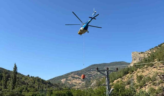 Ev yangını ormana sıçramadan söndürüldü
