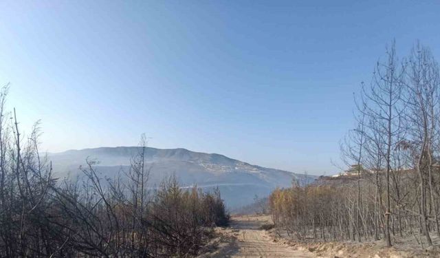 Hatay’da orman yangını kontrol altına alındı