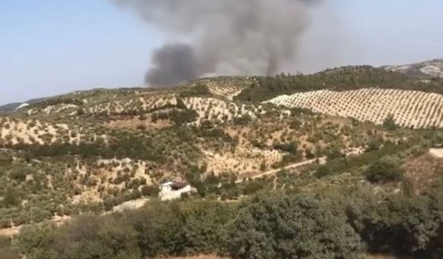 Hatay’da orman yangını
