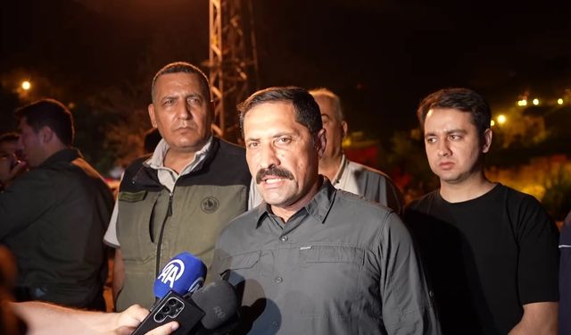 Hatay’daki orman yangınıyla ilgili Vali Masatlı’dan açıklama: "Şu an itibarıyla can ve mal kaybımız söz konusu değil"