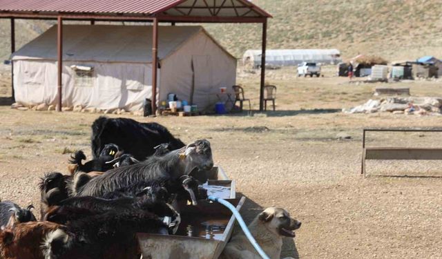 Kahramanmaraş’ta konargöçerler Ahır Dağı zirvesindeki yerlerini aldı
