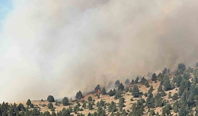 Kahramanmaraş’taki orman yangını ekiplerin müdahalesi sürüyor