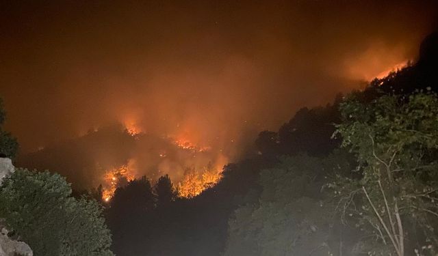Mersin’de iki ilçede orman yangınları sürüyor