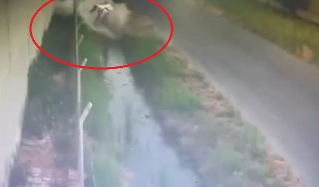 Otomobil sulama kanalına uçtu