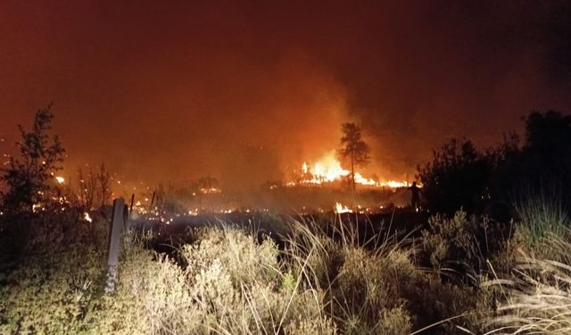 Serik’te tarım arazisinden ormana sıçrayan yangın 5 saatte söndürüldü