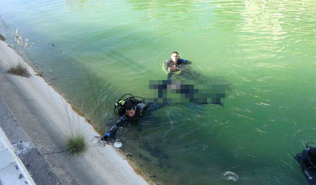 Sıcaktan bunalıp sulama kanalına atladı, canından oldu