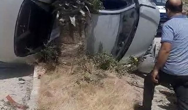 Takla atan otomobil ağaça çarparak durabildi
