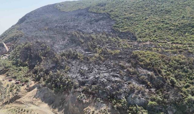 Yayladağı’nda çıkan orman yangını kontrol altına alındı
