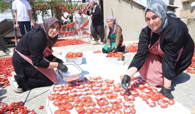 Afetzede kadınların kuruttuğu domatesler, kış aylarında sofraları süslüyor