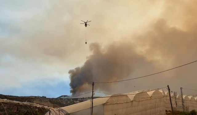 Alanya’daki orman yangını yeniden alevlendi