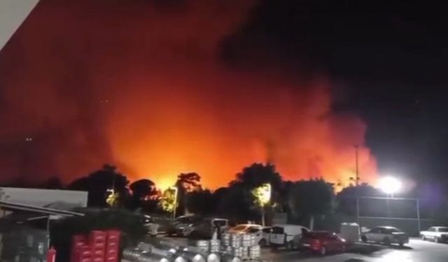 Antalya Aksu’da ormanlık alanda yangın